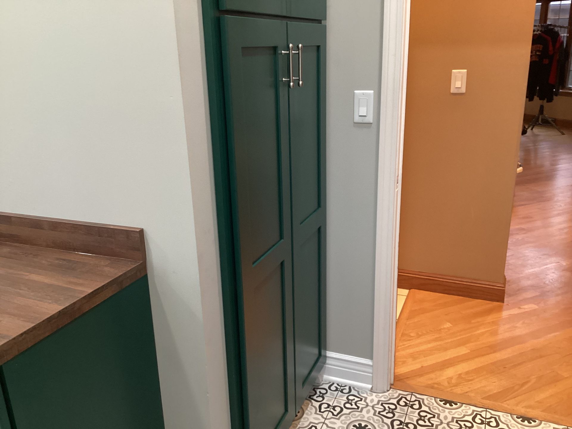 Green cabinet next to a doorway in a room with wood floors and a patterned rug.