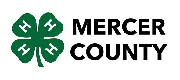 Green four-leaf clover with