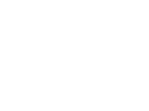 Affordable Dumpster - logo