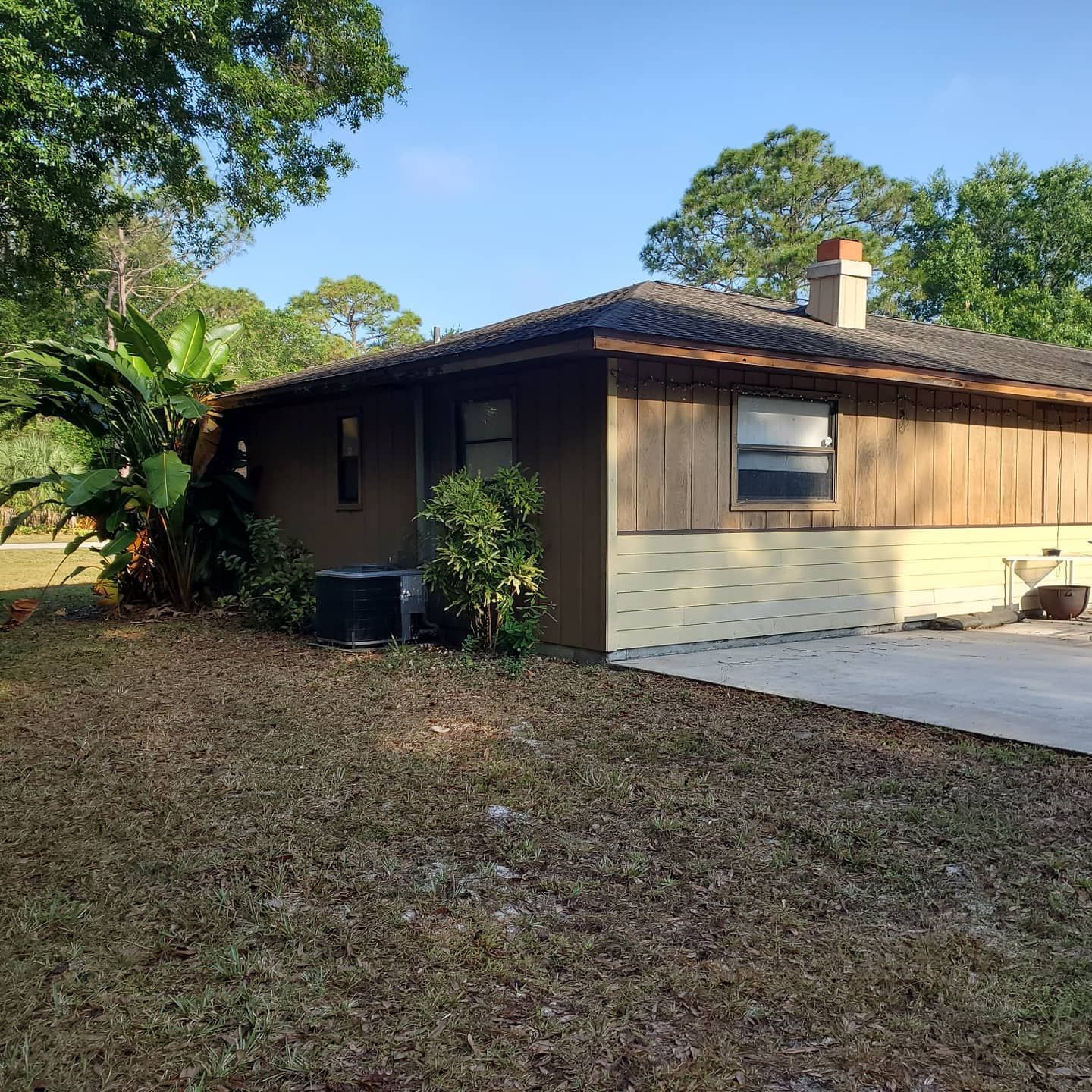 A single-story house with brown vertical wood siding and a beige brick base, set in a yard with trees and a large plant.