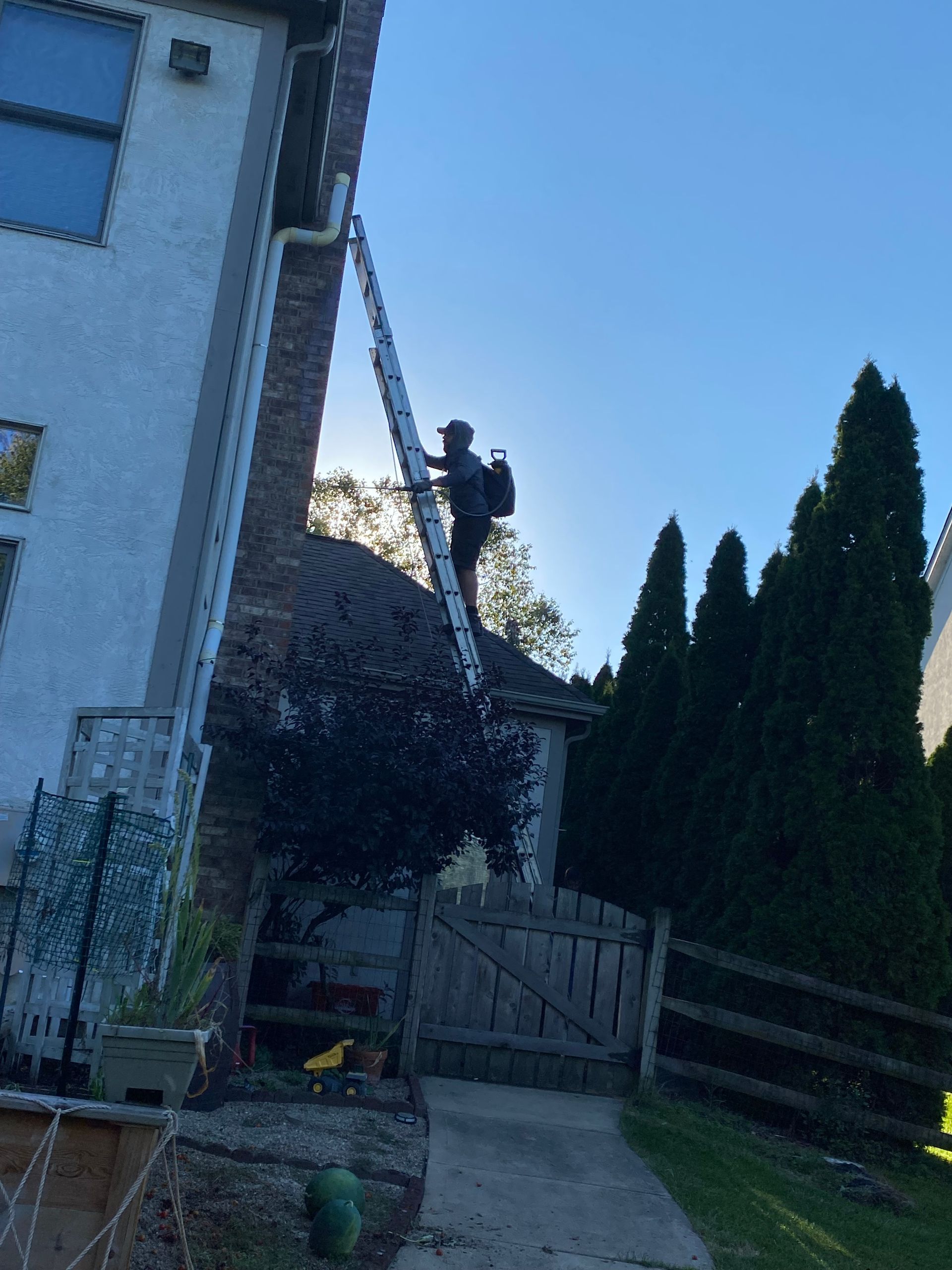 Person on ladder, cleaning chimney of brick house, sunny day.