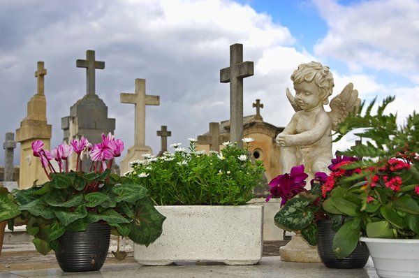 Learn More About Floral Vases Floral vases
