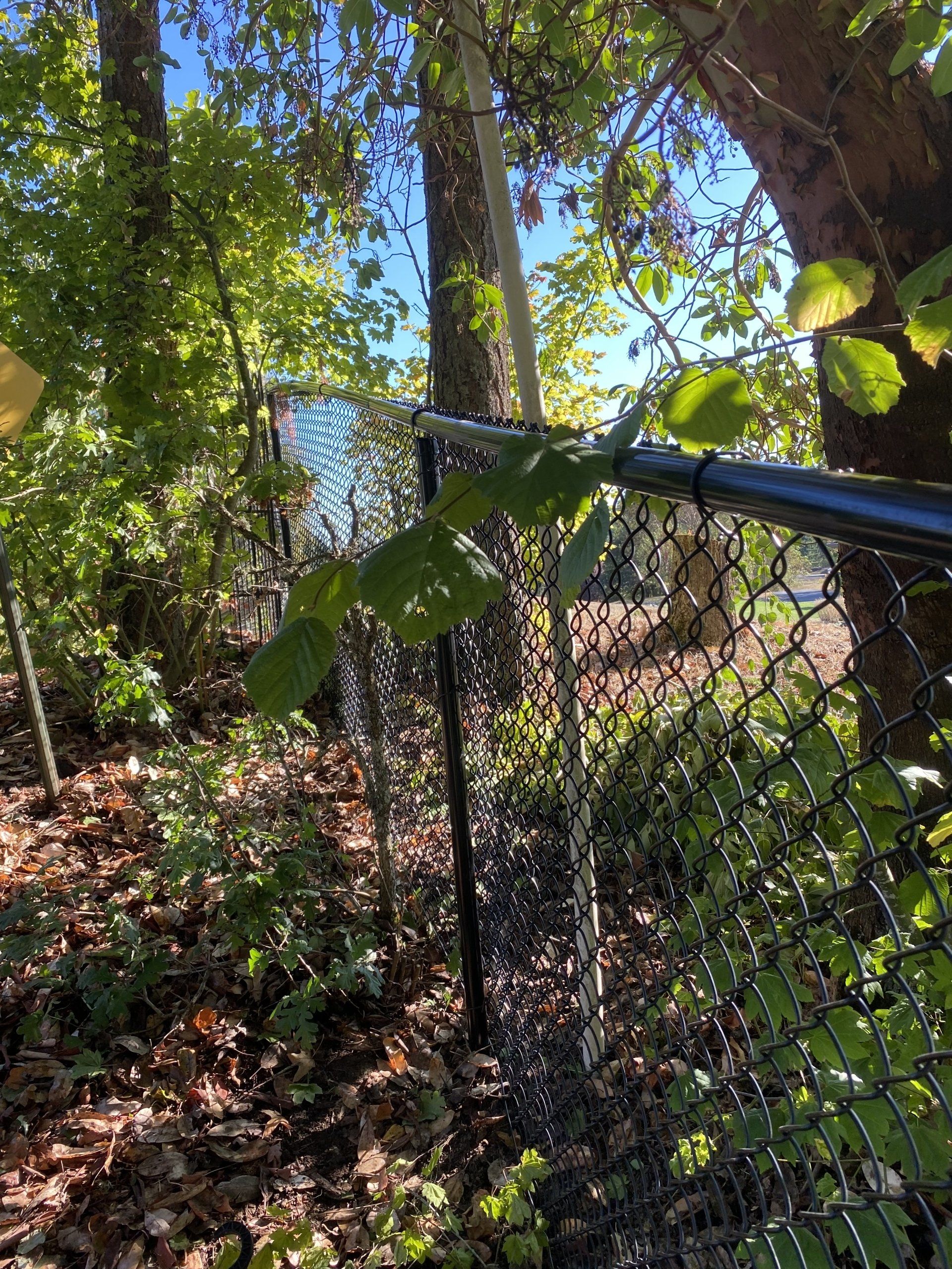 all-about-fencing-llc-gallery-065