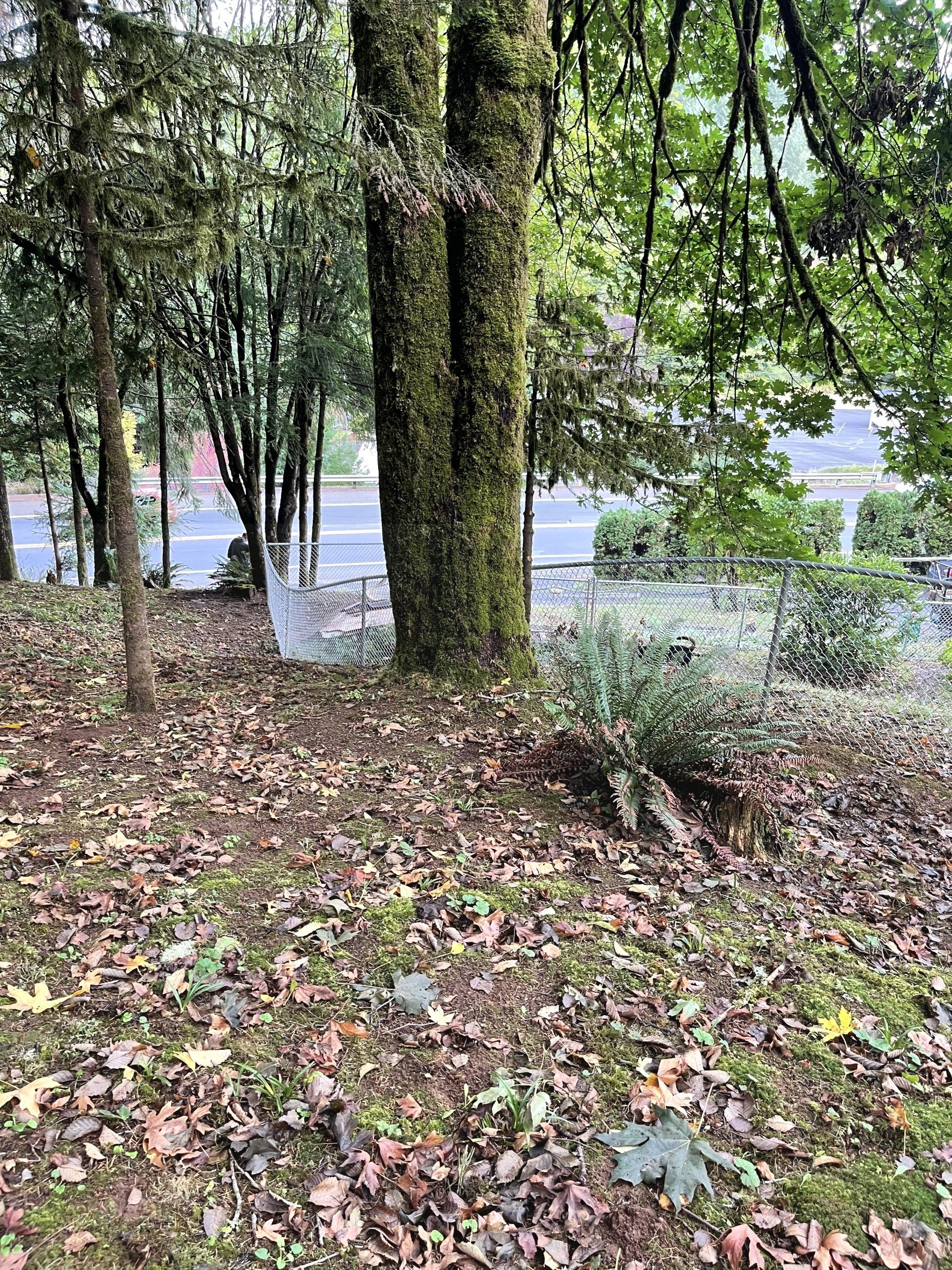 all-about-fencing-llc-gallery-057