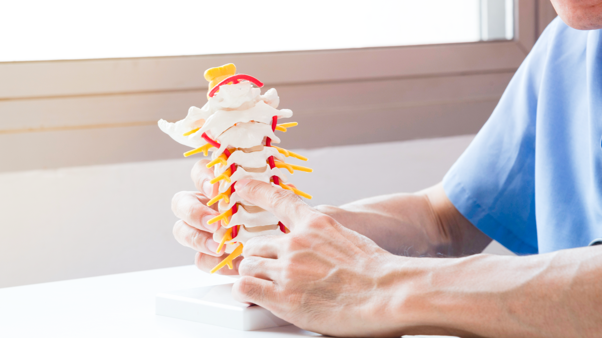 A chiropractor points to a spine model to explain the benefits of chiropractic care for pain relief.