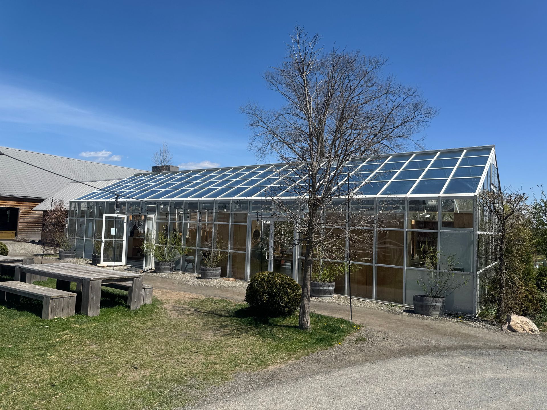 A long, glass greenhouse with a metal frame stands on a gravel path next to a wooden picnic table on a sunny day.