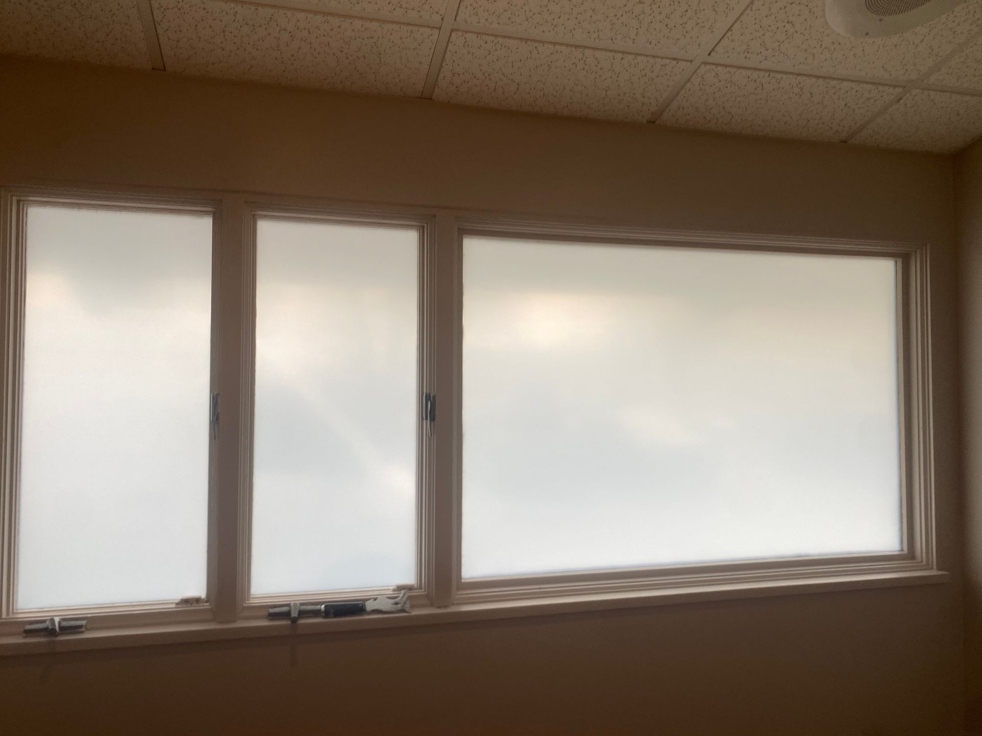 A three-panel window with frosted glass letting in soft, diffused daylight.