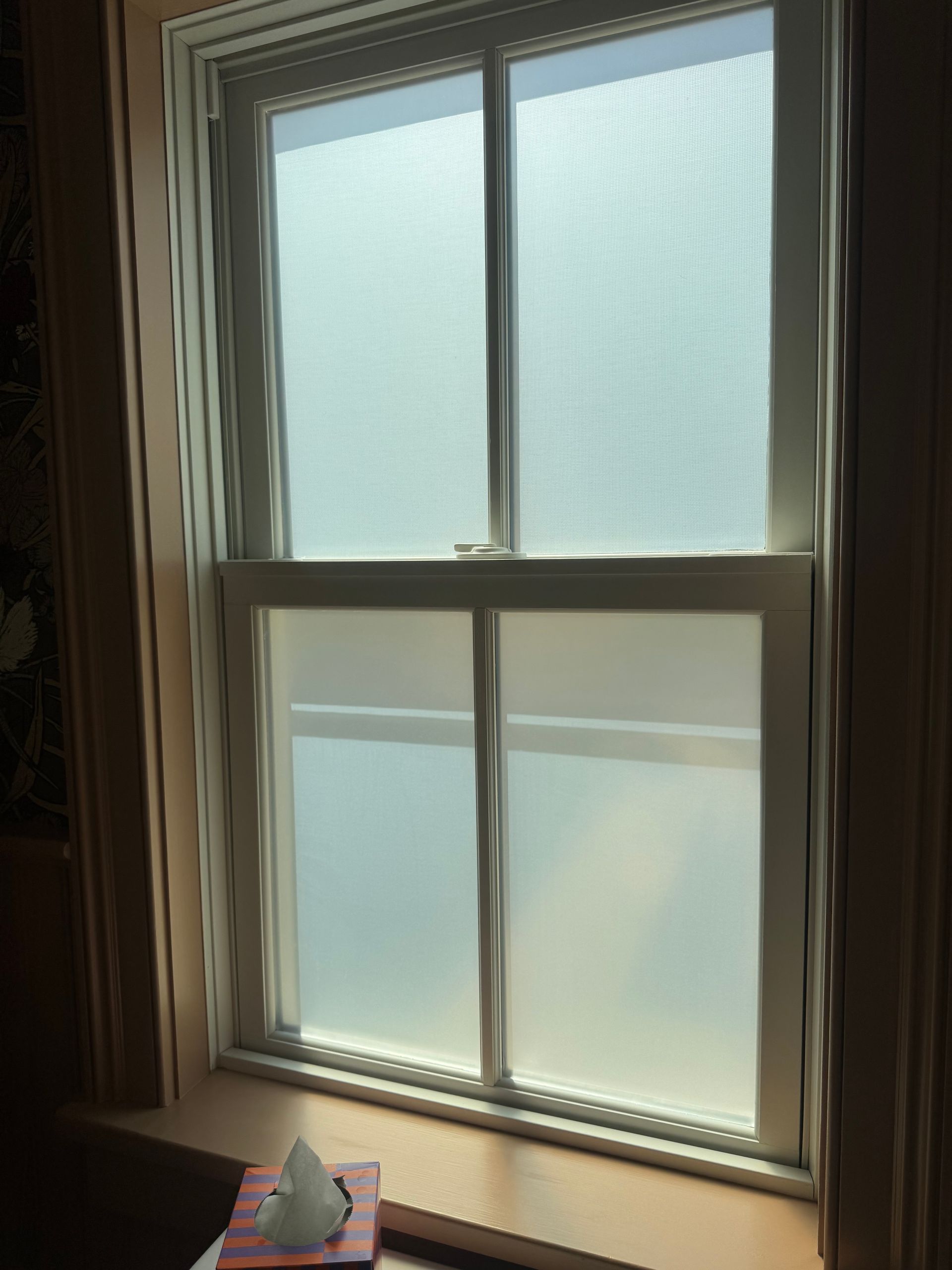 A white-framed window with frosted glass panes, allowing diffused light into an interior room.