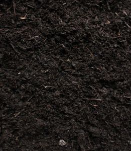 A close up of a pile of black soil.