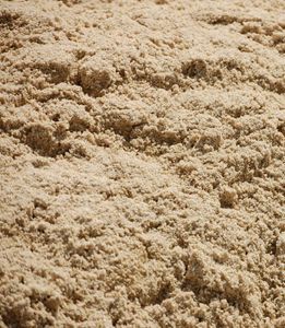 A close up of a pile of sand on a beach.