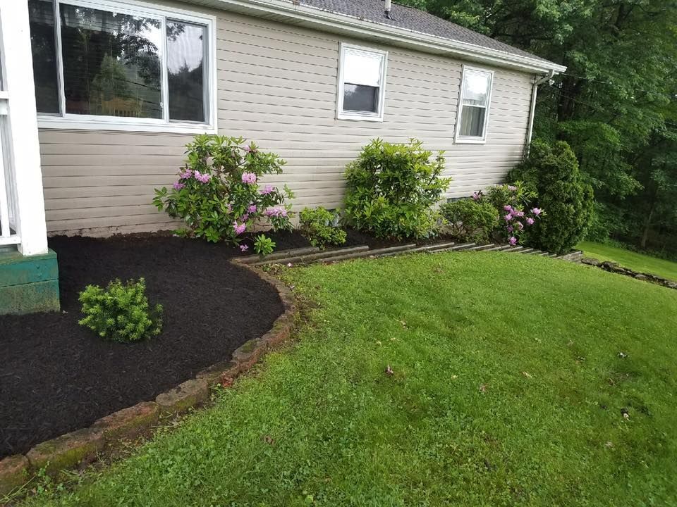 A house with a lush green lawn and bushes in front of it.