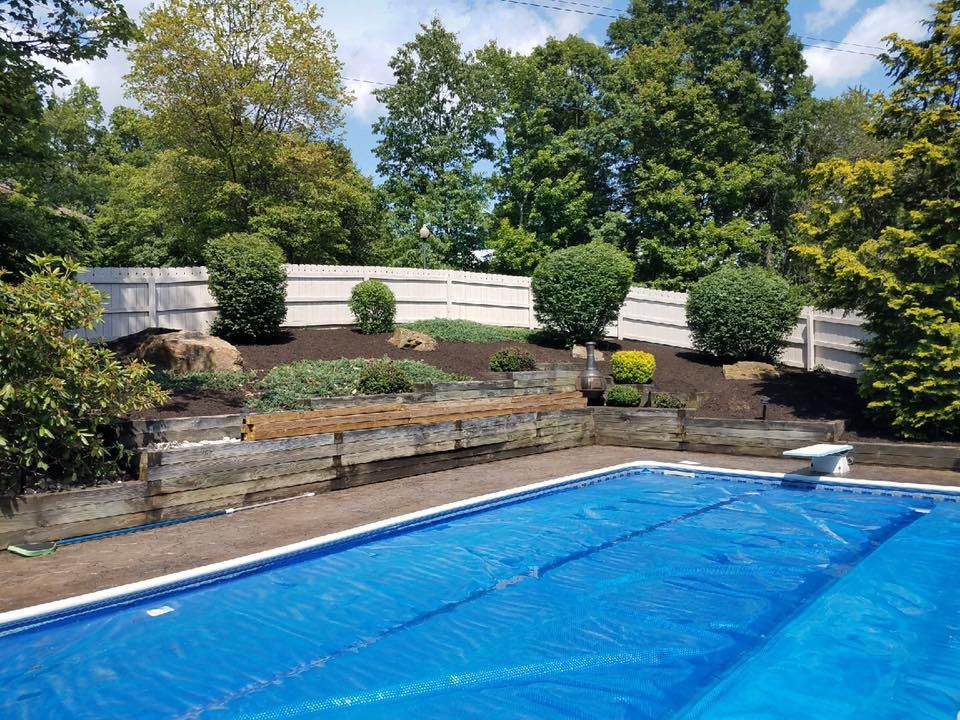 A large swimming pool surrounded by trees and bushes in a backyard.