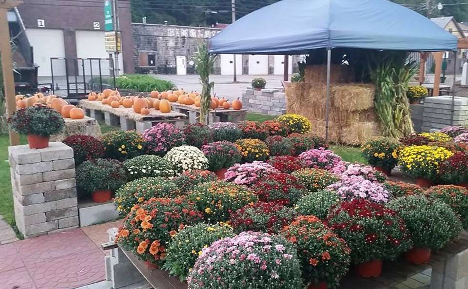 A display of flowers and pumpkins under a blue tent.