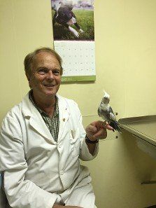 Doctor with parrot