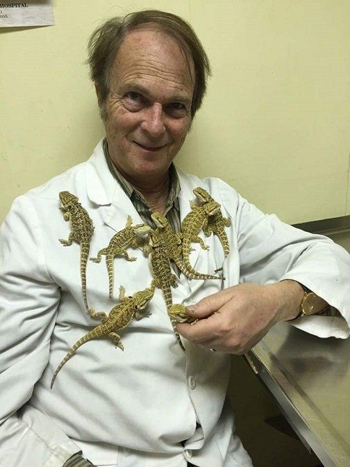 Doctor with Rankin's dragon