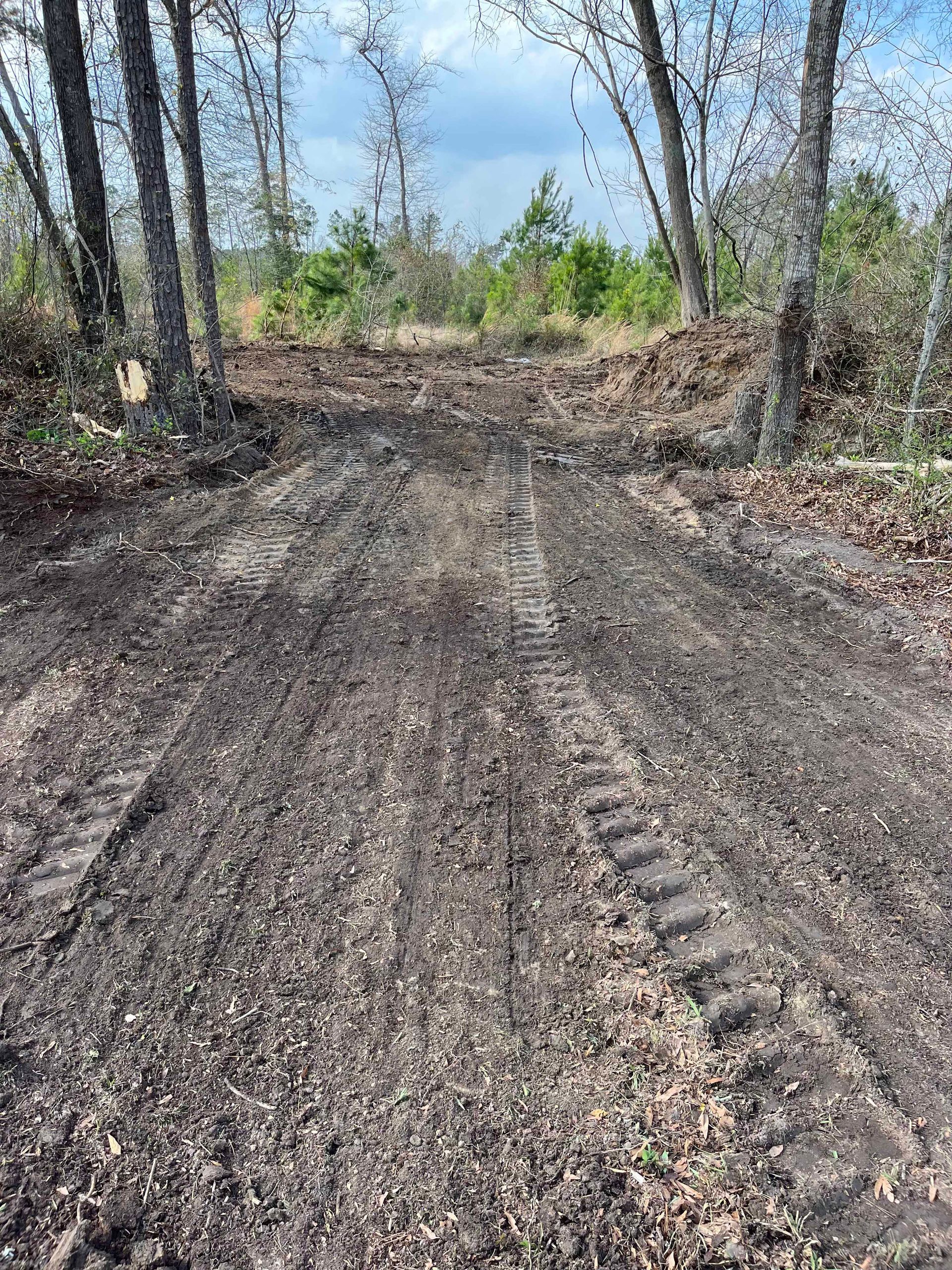 Dirt path through a wooded area, showing tire tracks and freshly turned earth. Trees line both sides, with green foliage visible in the distance.