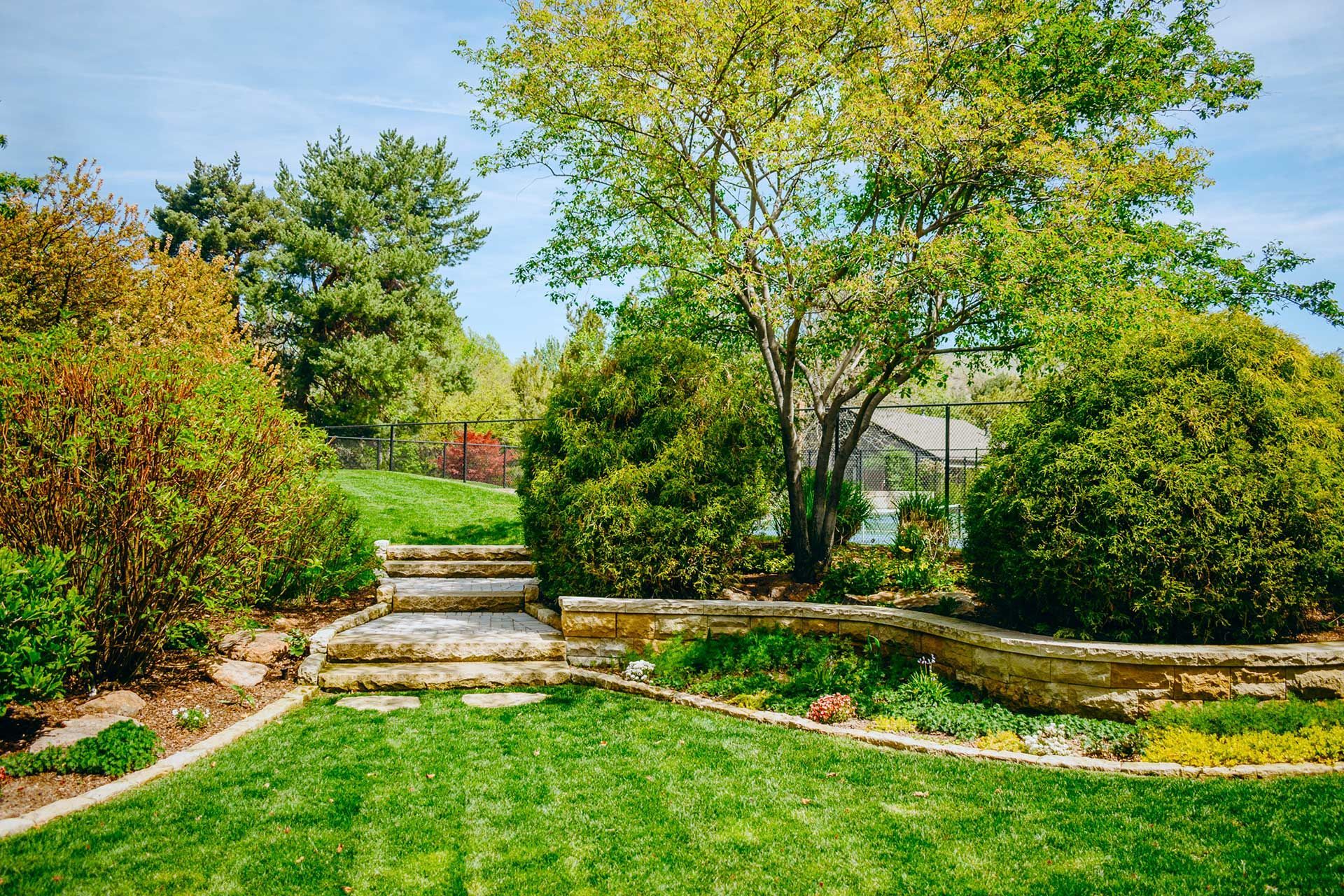 Sunny garden with stone steps, green lawn, shrubs, and a large tree under a clear sky