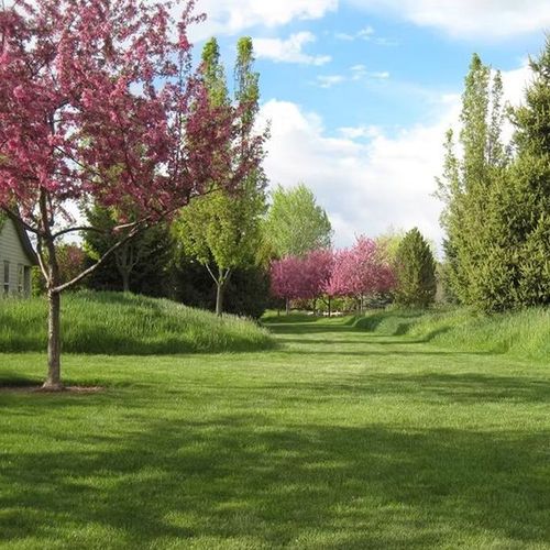 Verdante Landscape & Hardscape Co.