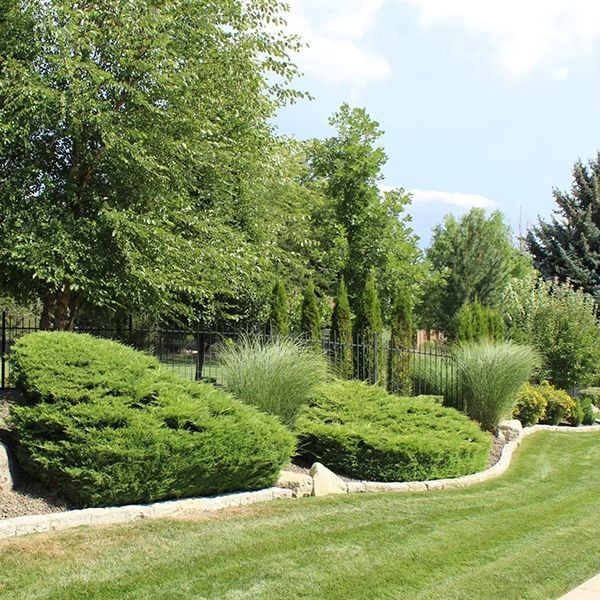 Verdante Landscape & Hardscape Co.