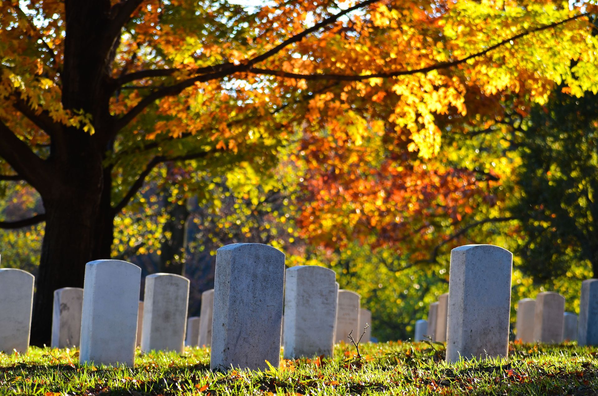 local cremation services