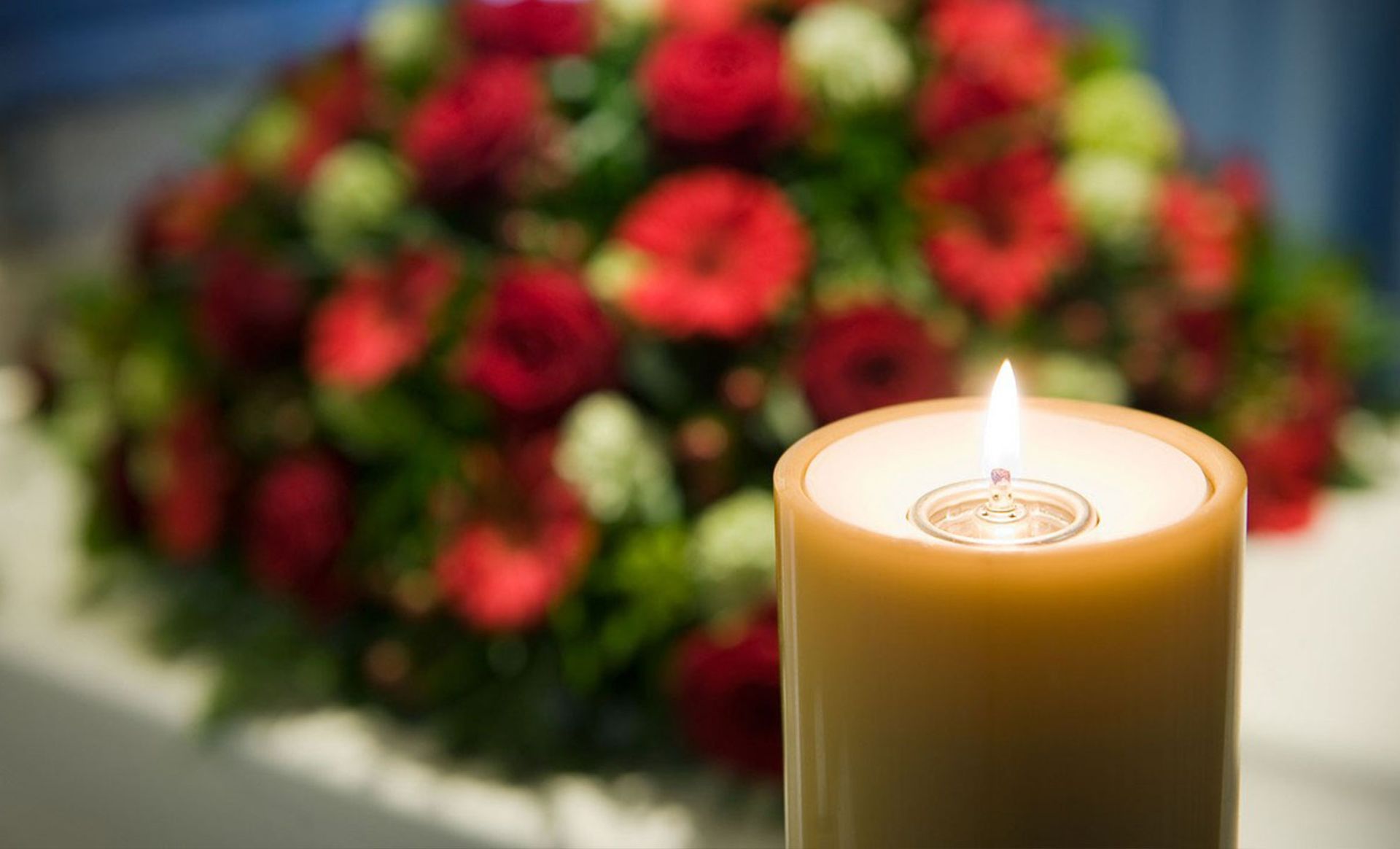 Balboa Cremation Services