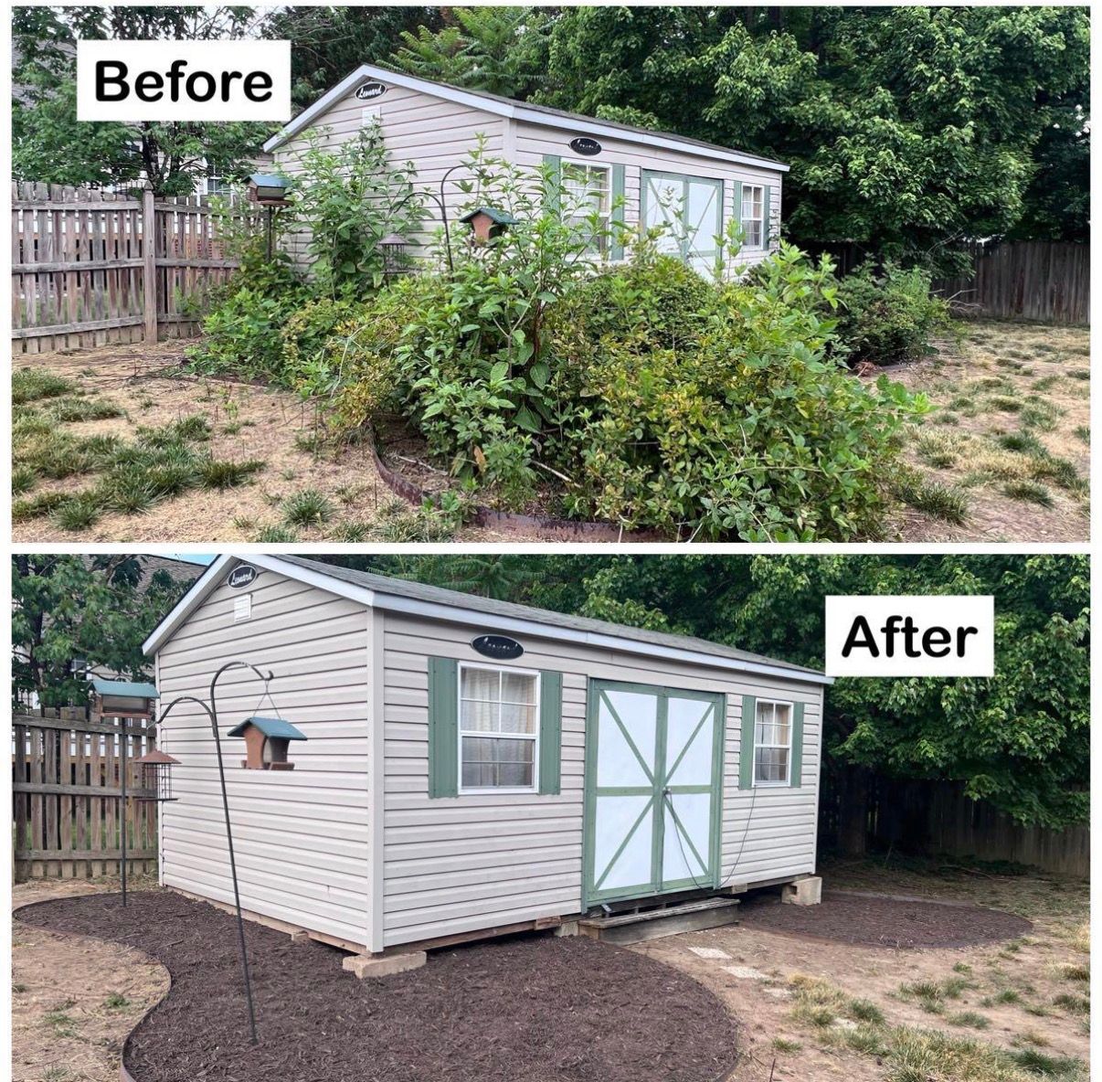 Before-and-after of a backyard shed: overgrown bushes removed and the shed cleaned and painted white with green doors.