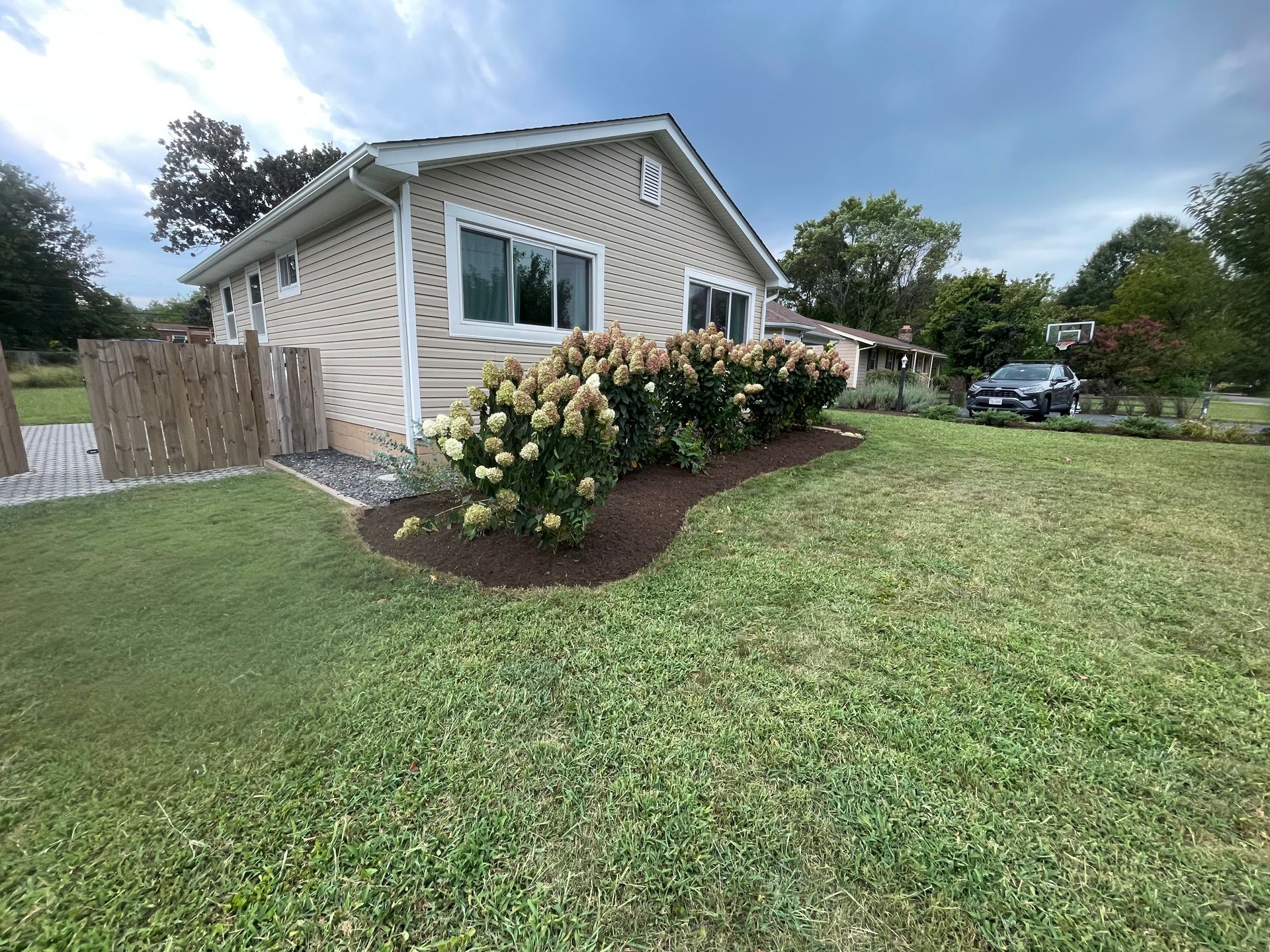 Single-story beige house with white trim, front lawn, and blooming hydrangea bushes by the walkway.