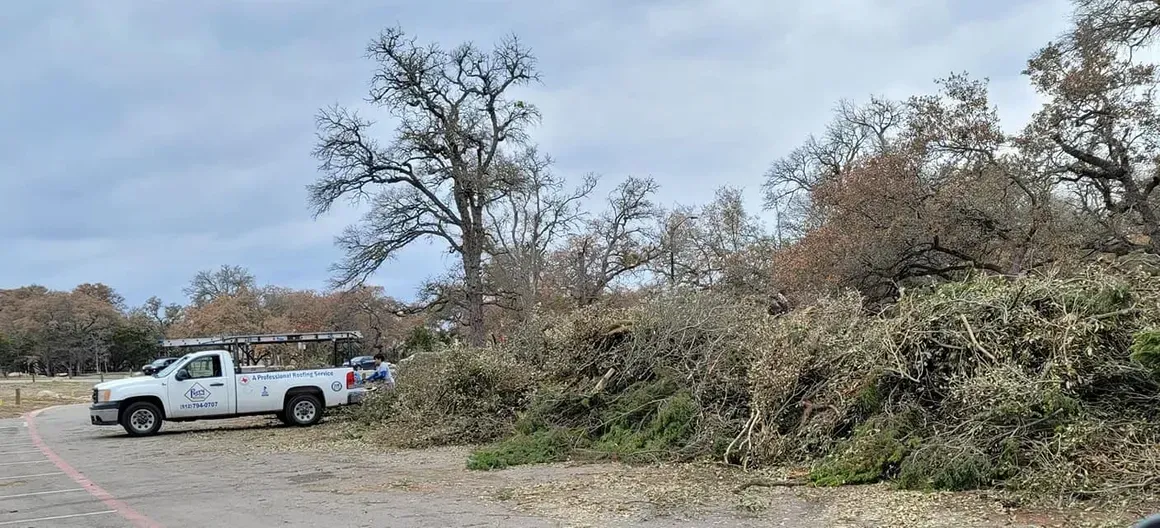 A white truck is parked on the side of a road next to a pile of trees.