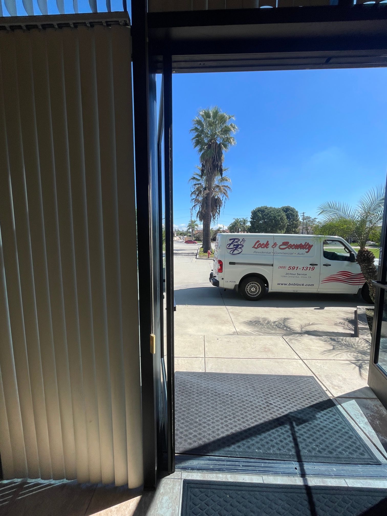 A white van is parked in a parking lot next to a palm tree.
