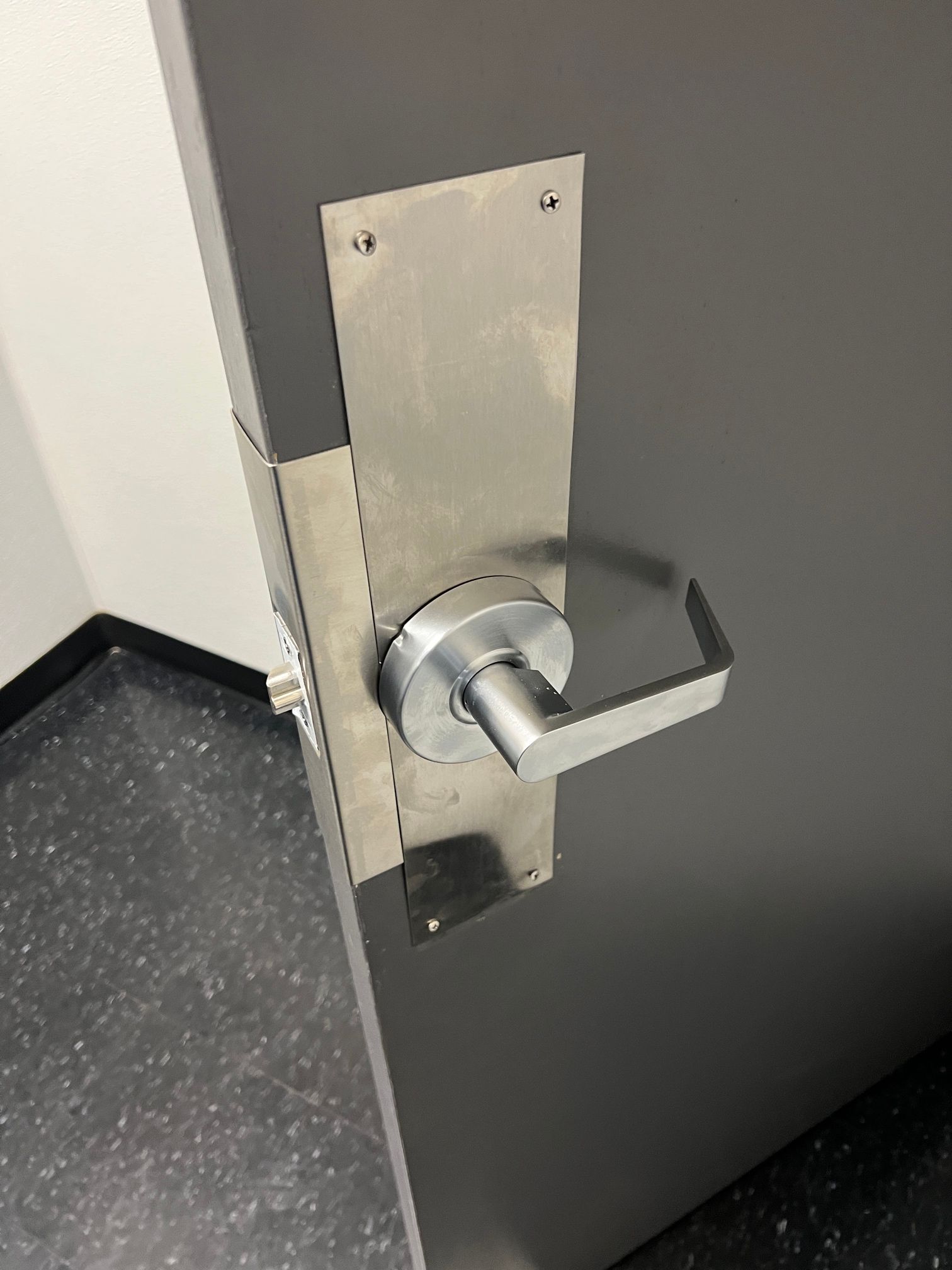 A close up of a door with a stainless steel door handle.