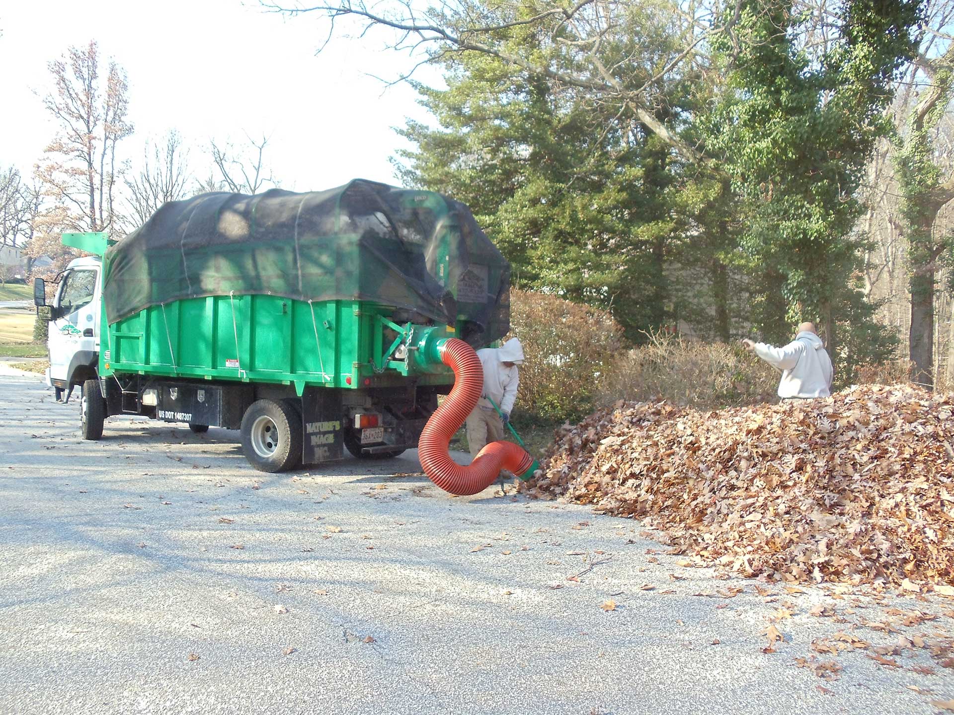 leaf-removal-services-baltimore-md-and-harford-county