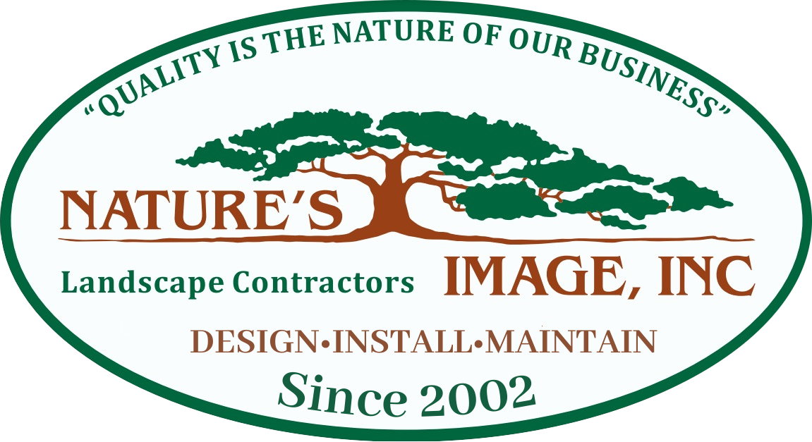 Nature's Image Inc - Logo