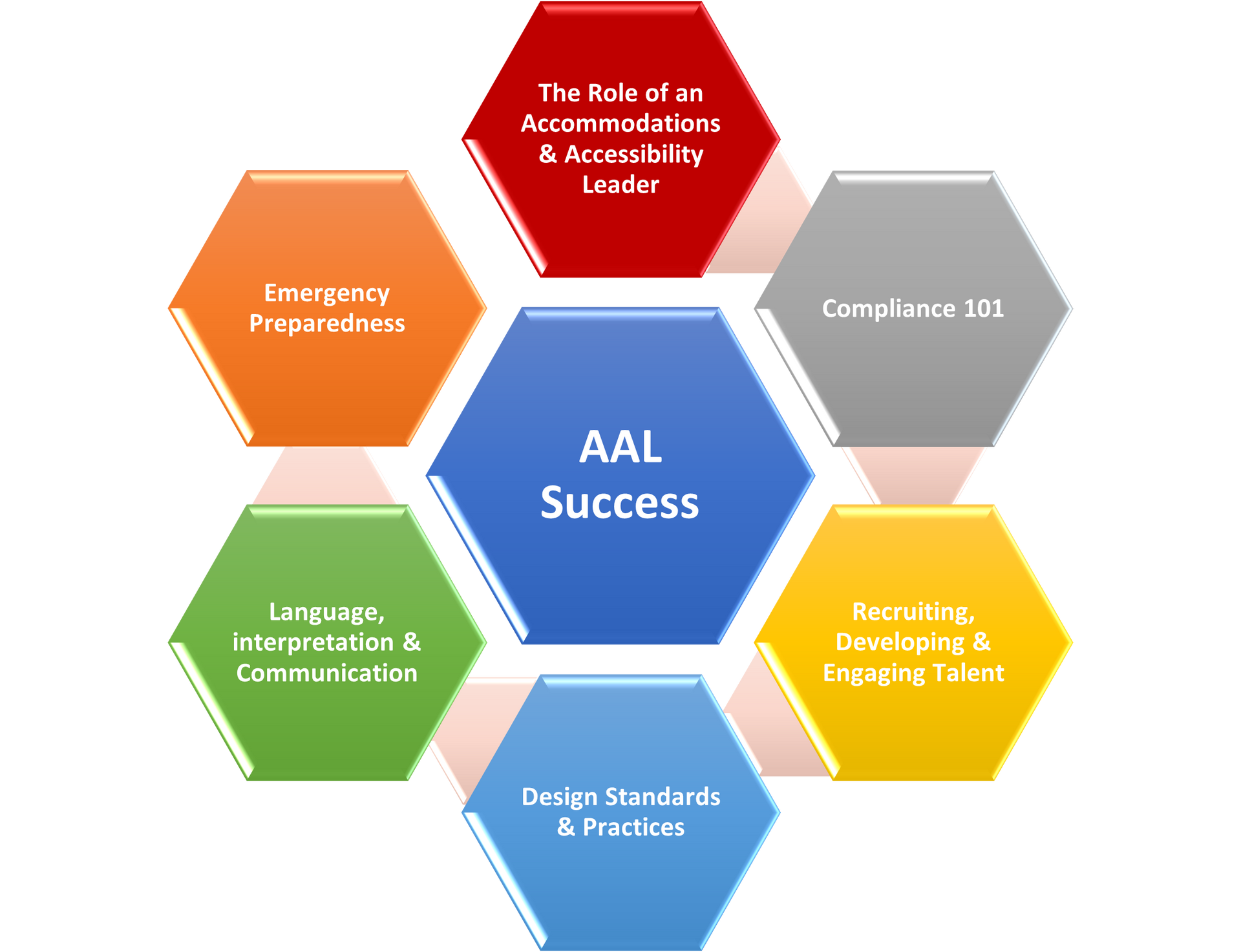 The framework for accommodation and accessibility leadership (AAL) success