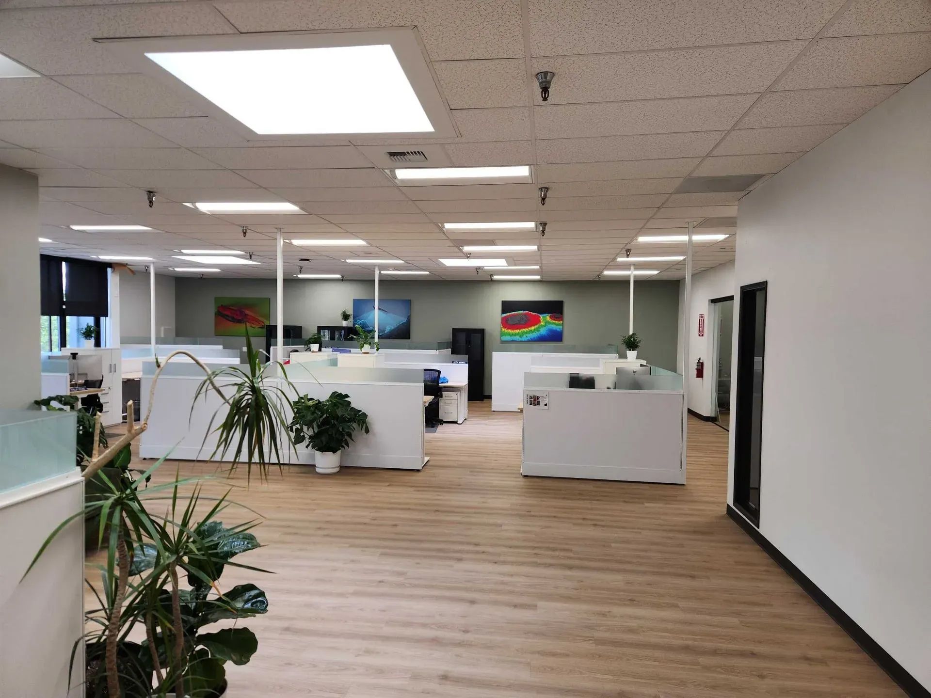 Bright open office interior with desks, plants, and white walls under fluorescent ceiling lights.