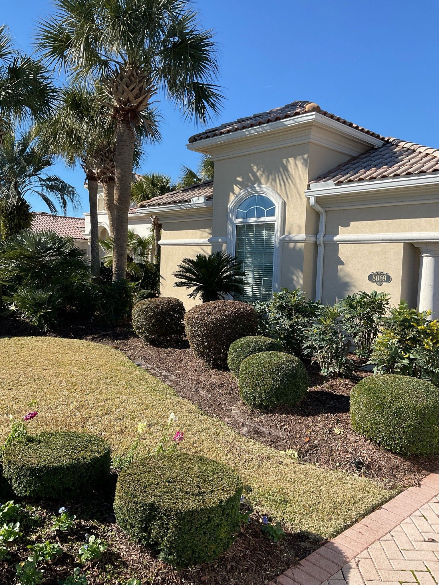 A house with a lot of bushes and trees in front of it