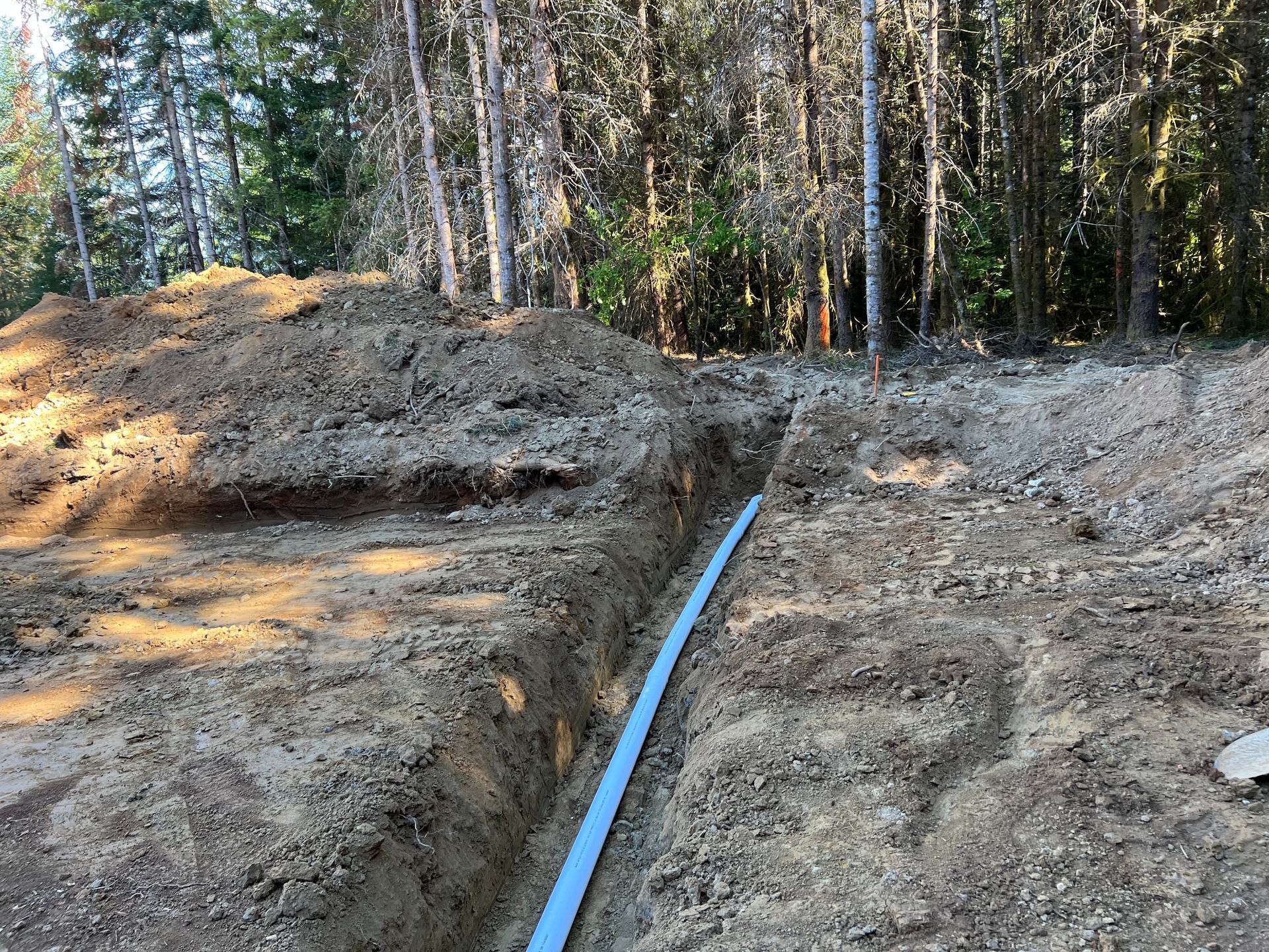 a pipe is being installed in the dirt in the middle of a forest