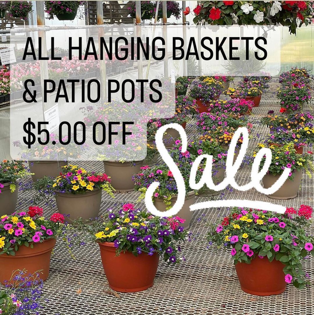 Greenhouse Hartman's Towne & Country Greenhouse Manitowoc WI