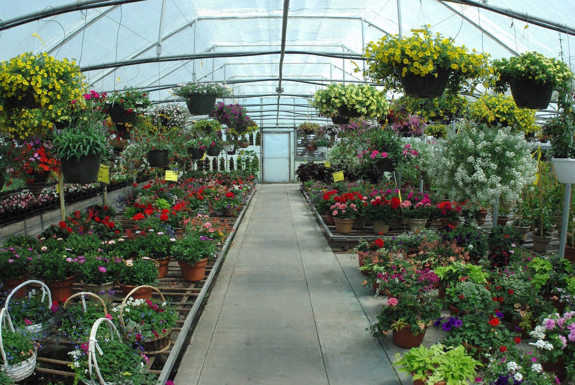 Greenhouse Hartman's Towne & Country Greenhouse Manitowoc Wi