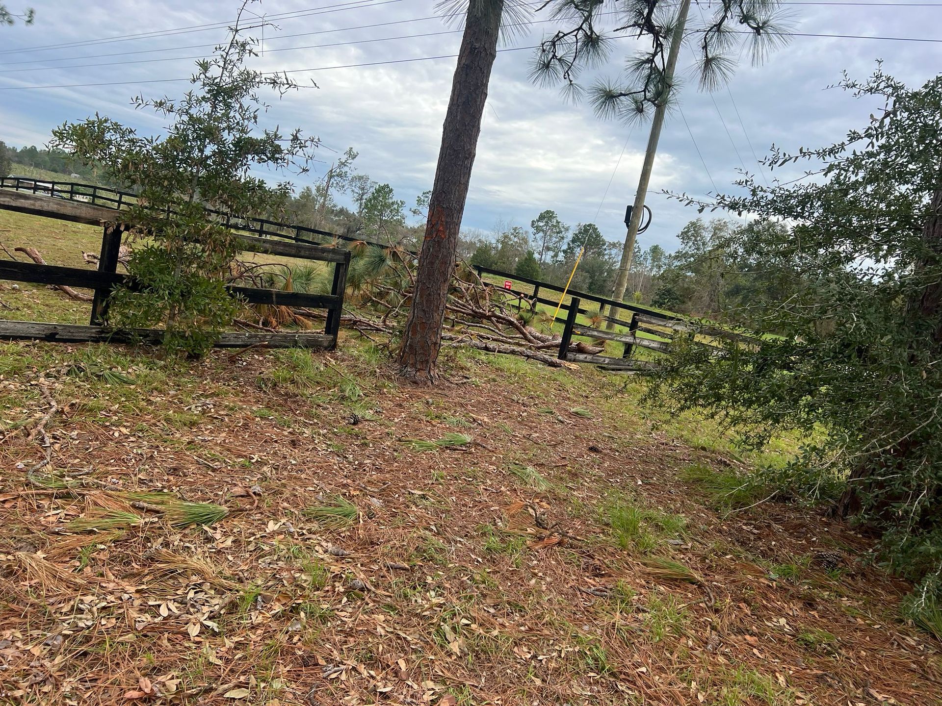 A fallen tree limb lies across a black wooden farm fence in a grassy field covered in brown leaves.