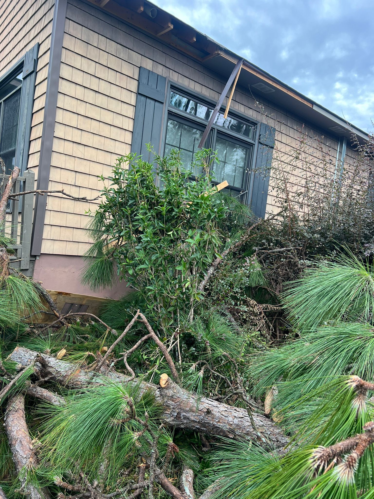 A fallen tree branches lay across the front of a house, partially covering a window and side yard after a storm.