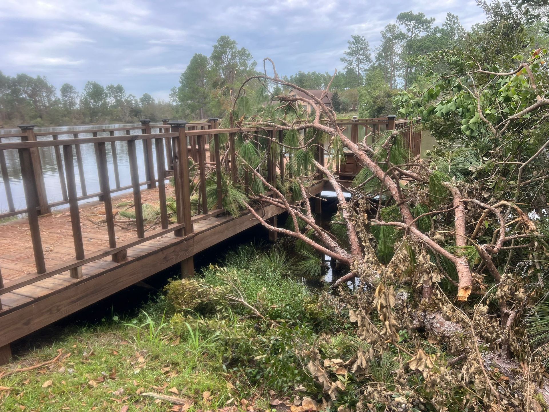 A fallen tree rests on a wooden footbridge overlooking a lake on a cloudy day.