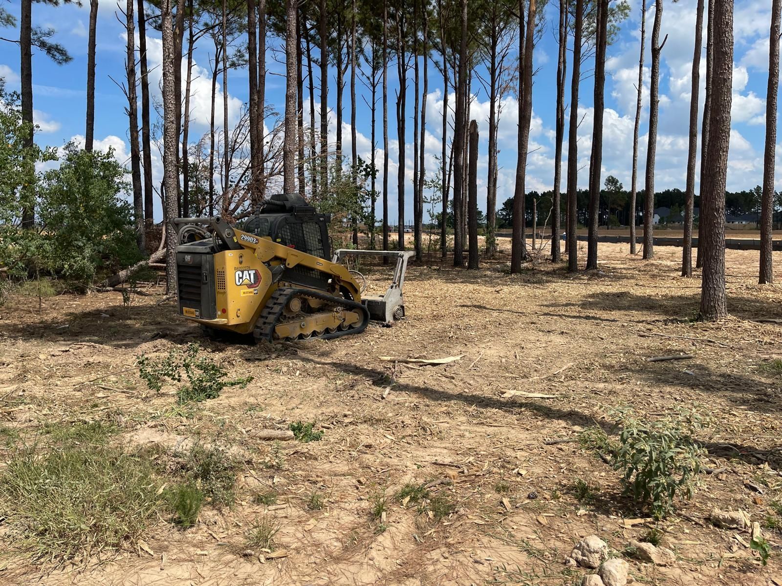 A yellow Caterpillar compact track loader with a forestry mulcher attachment sits in a cleared, wooded area.