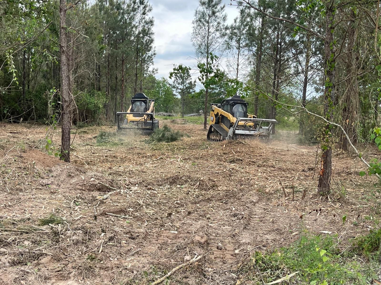 Two yellow skid steer loaders clearing brush and trees in a wooded area on an overcast day.
