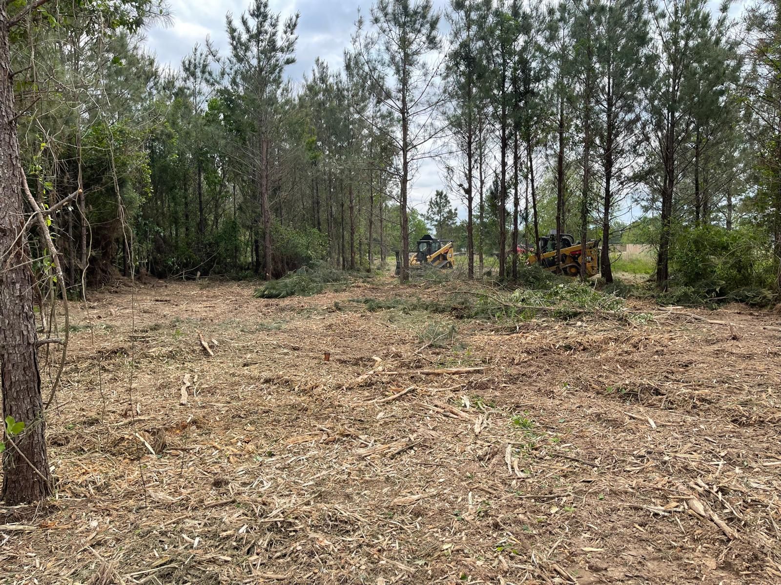 A clearing in a forest with cut brush on the ground and heavy machinery working in the distance.