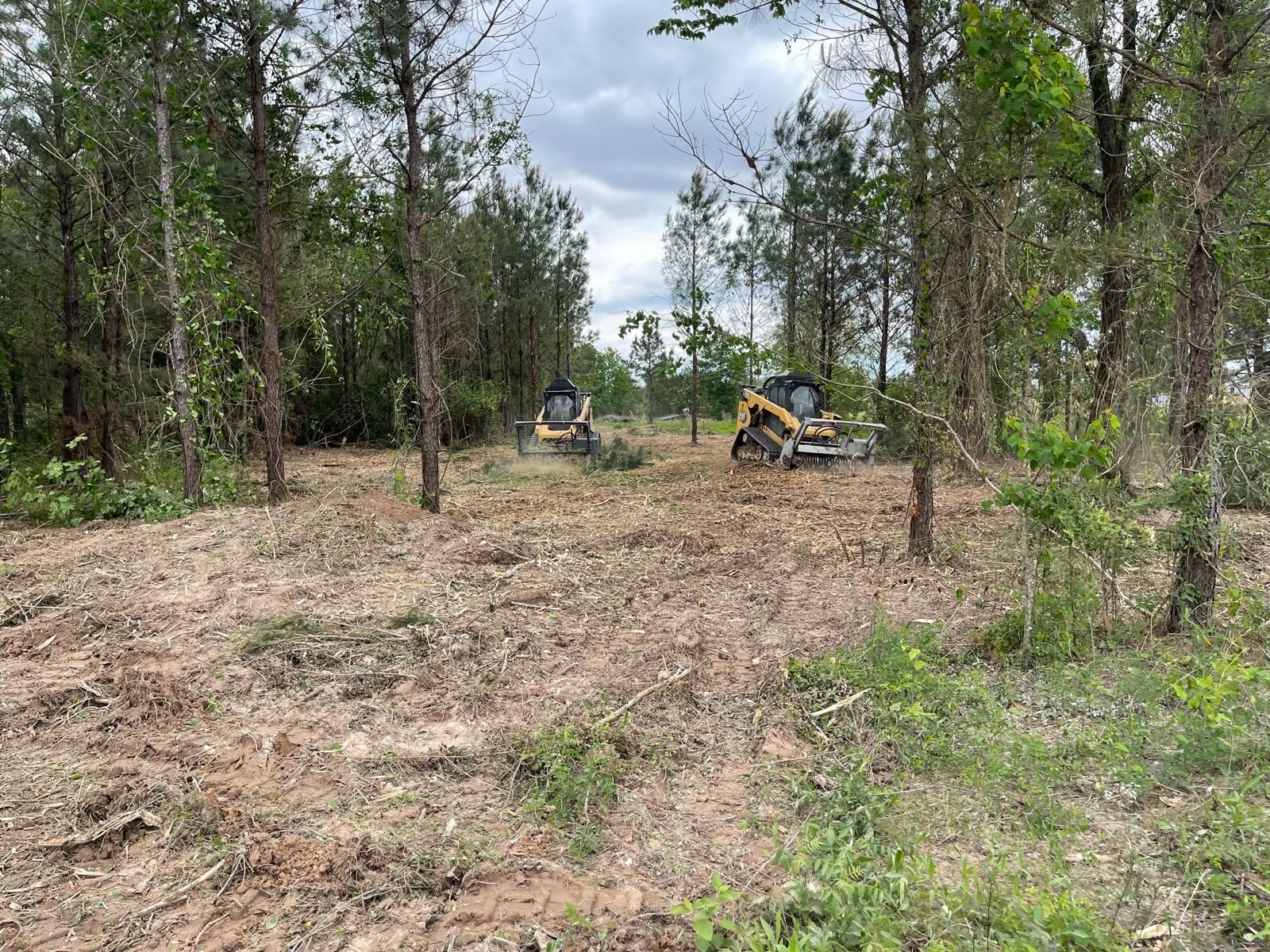 Two yellow skid steer loaders clear brush and small trees in a wooded area under a cloudy sky.