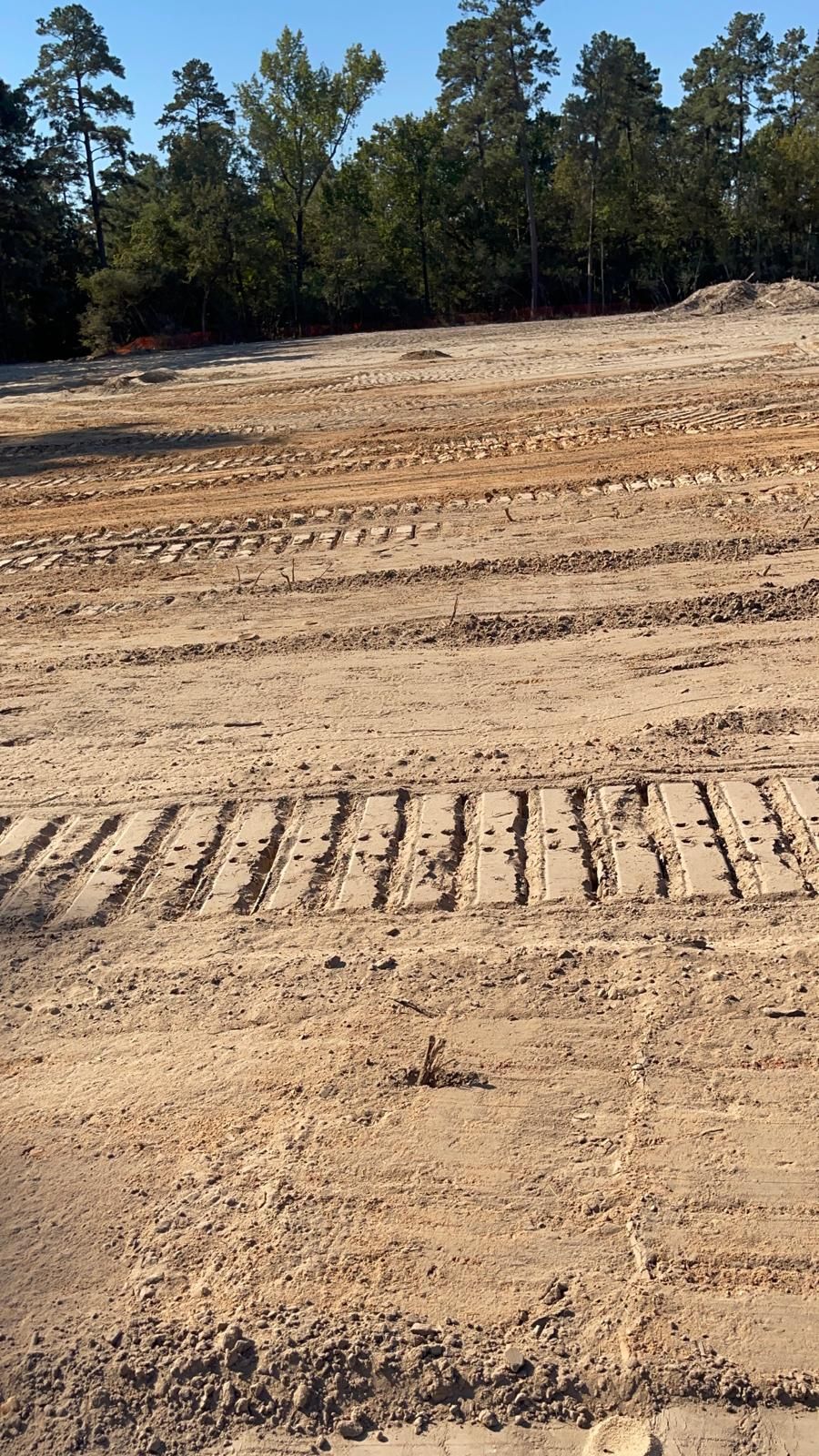 An unpaved, cleared construction site with heavy machinery tread marks across the dirt ground and trees in the distance.