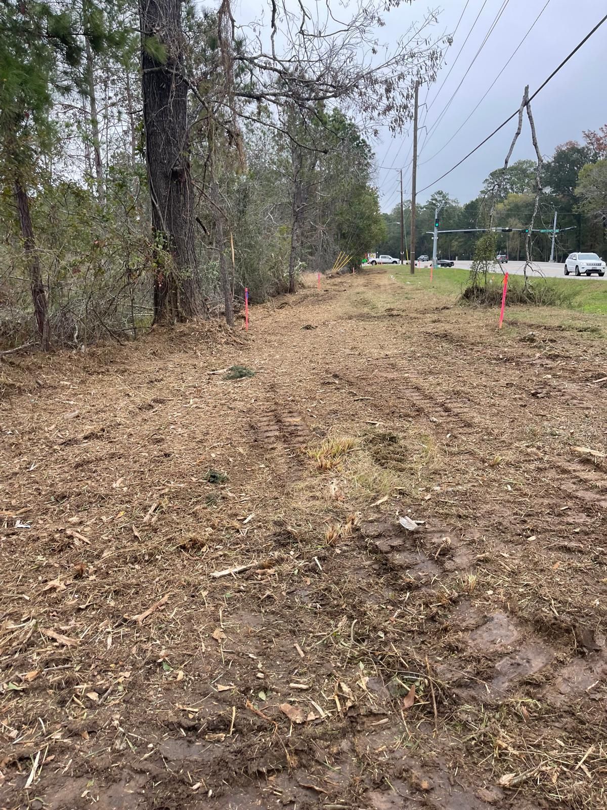 A cleared path of wood chips runs along a roadside with trees on one side and a car visible in the distance.