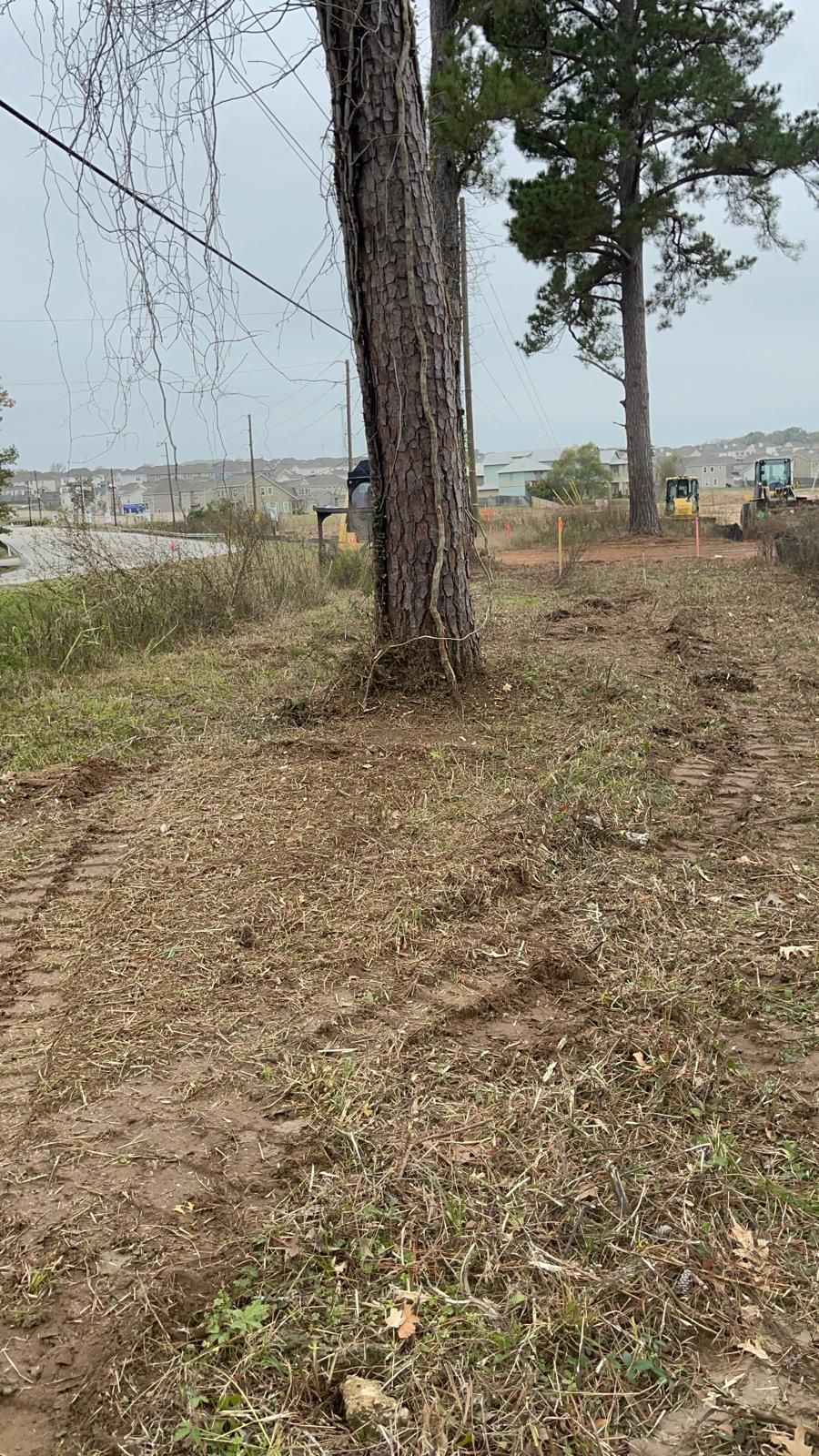 A construction site with a prominent pine tree in the foreground and a bulldozer working in the background.