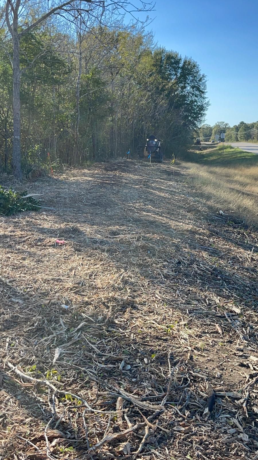 A person on a motorcycle rides along a dirt trail beside a wooded area on a sunny day.