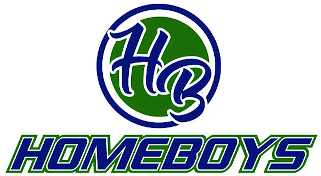 The Home Boys Seamless Gutters LLC Logo